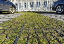 profarm kosenina